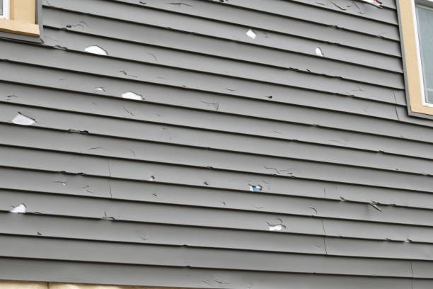 Best Aluminum Siding Installation  in Redby, MN